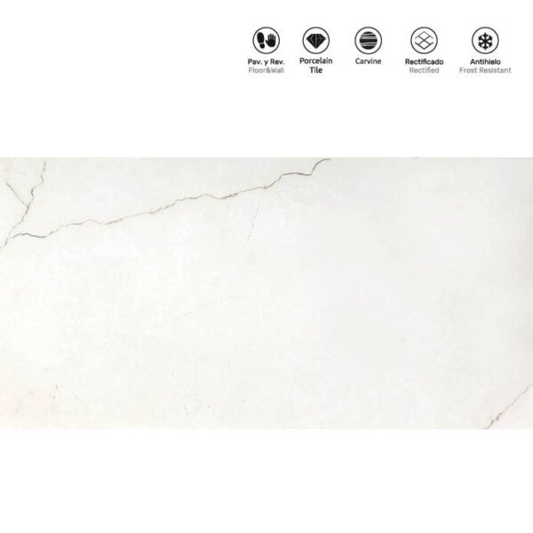 Acero Beige Carvine 60x120cm