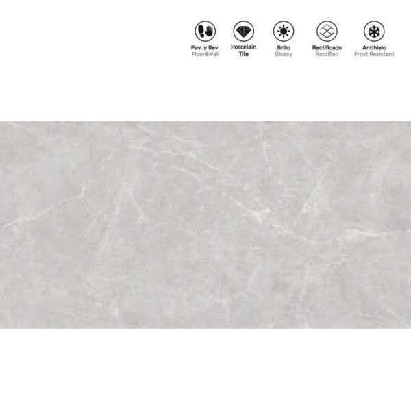 IRIS GREY 60x120cm, gloss