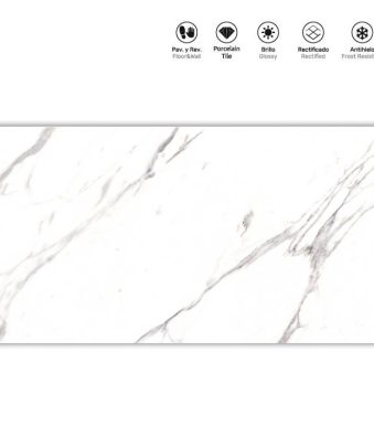 ALPHA WHITE_60X120_icastiles