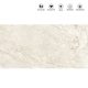 CHARLEMONT NATURAL_GLOSS_60X120_icastiles