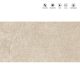 GEOSTONE BEIGE_R9_ICASTILES