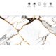 SPAWN GOLD_60X120_ICASTILES